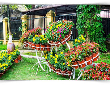 pic1 Gallery